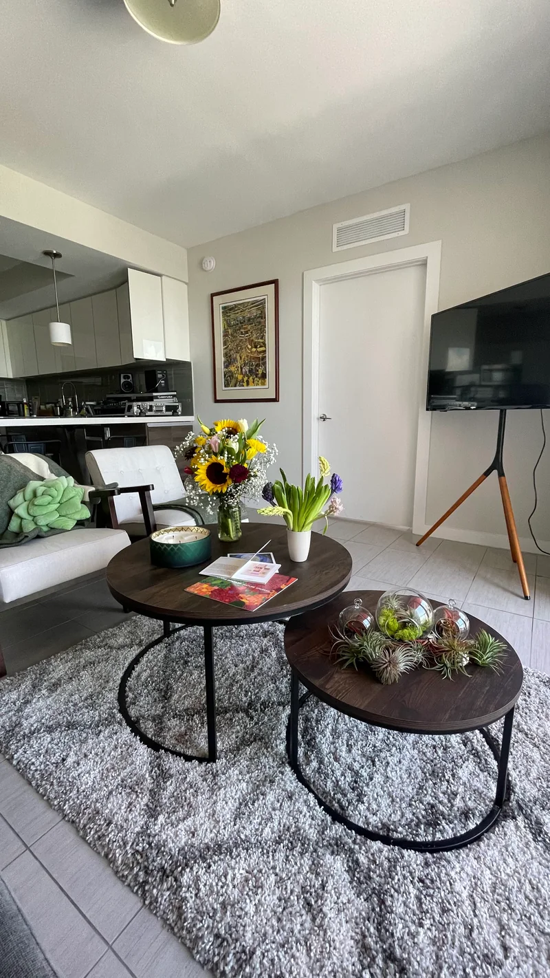 Living room arrangements composed of tillandsia and cut flowers